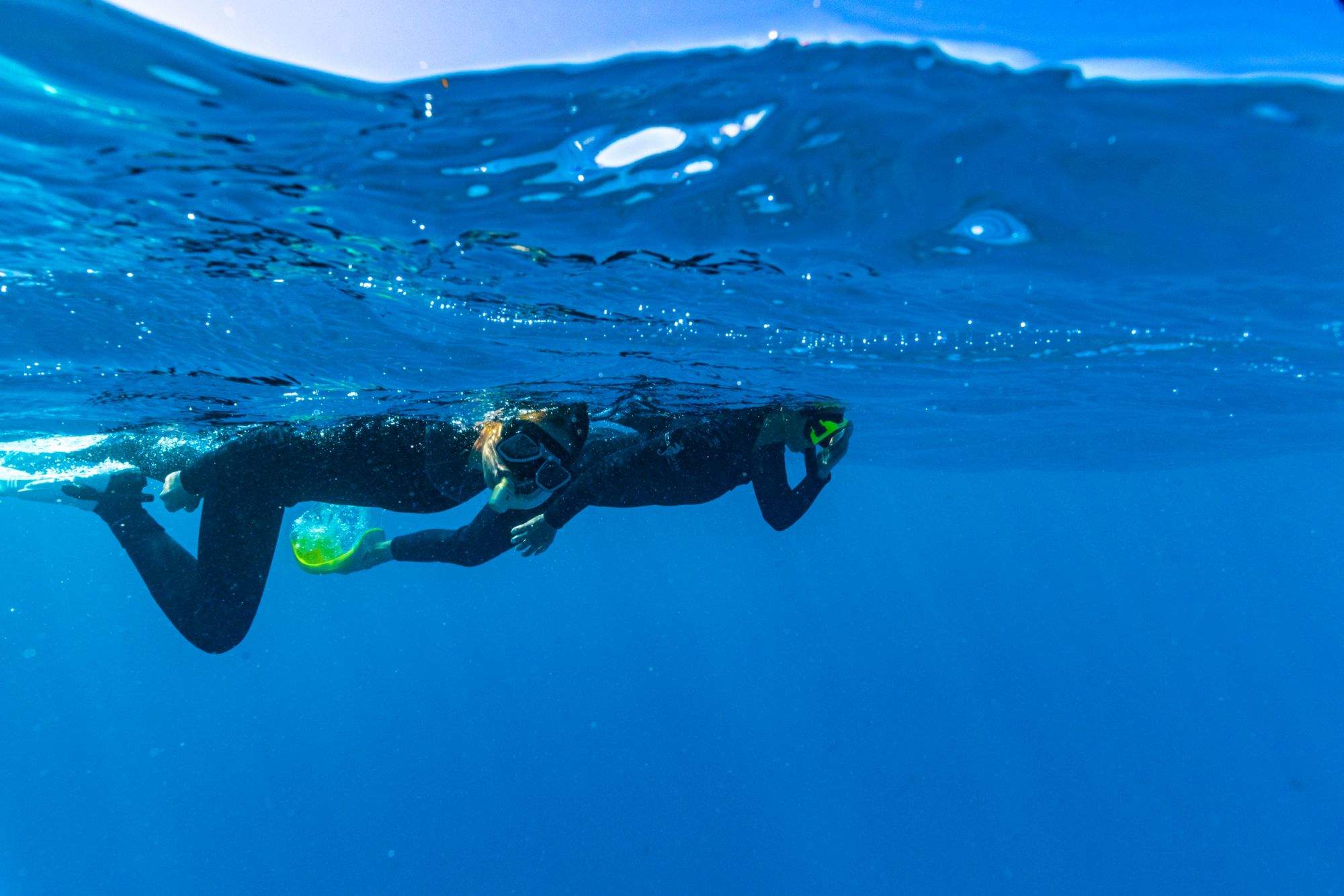 MOUA Snorkel Day Trip