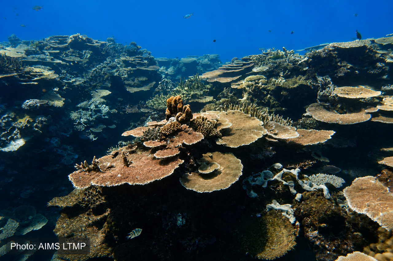 Helix Reef