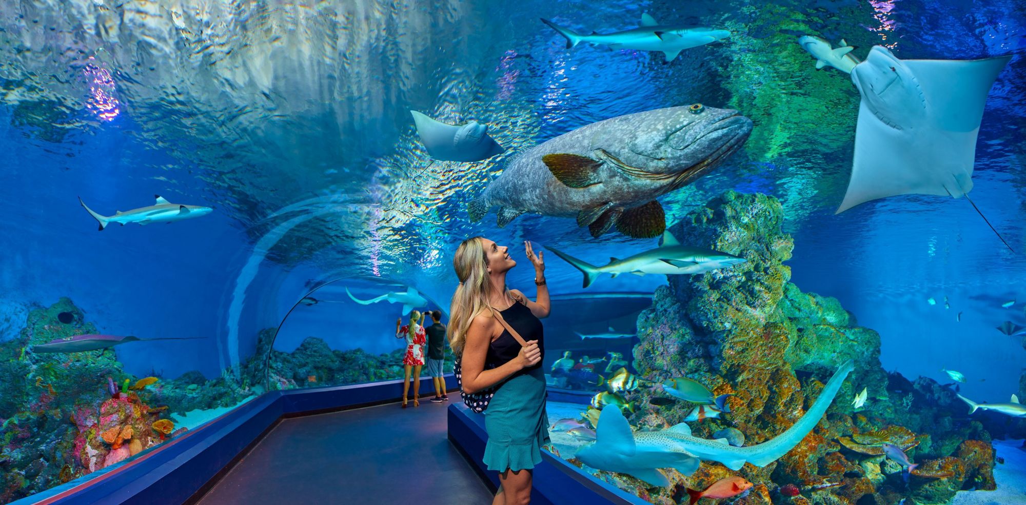 There's plenty to see & do in Cairns-Gimuy