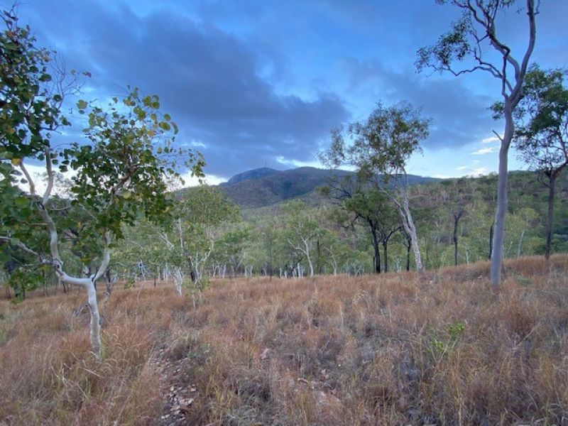 Bushwalking to Relieve Exam Stress