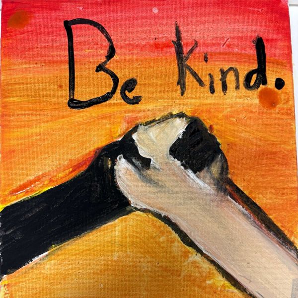 Art Session with SETS, HSP and NDIS Clients