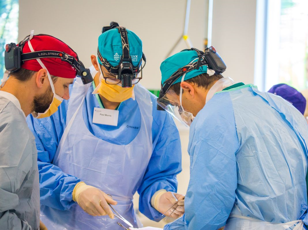 Anatomy of Surgical Exposure Course