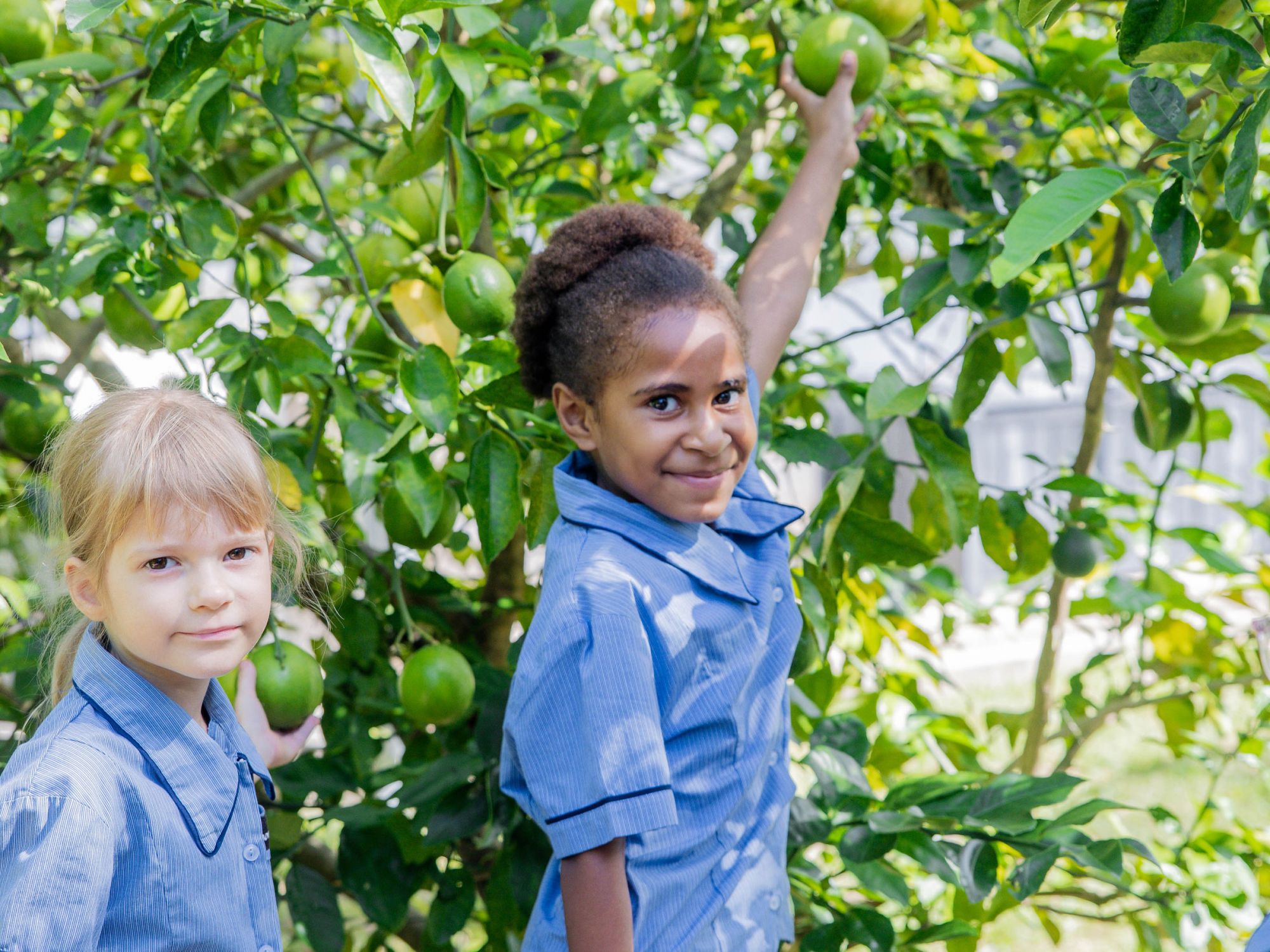 Discover a Picture Perfect location beside the Ross River