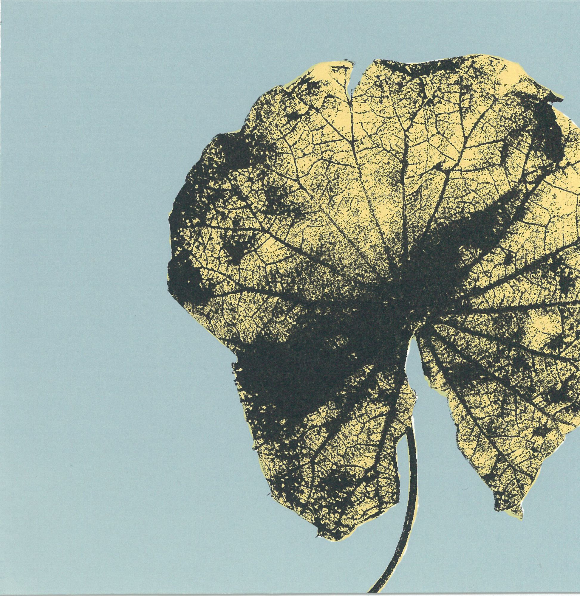 Participate in Compact Prints